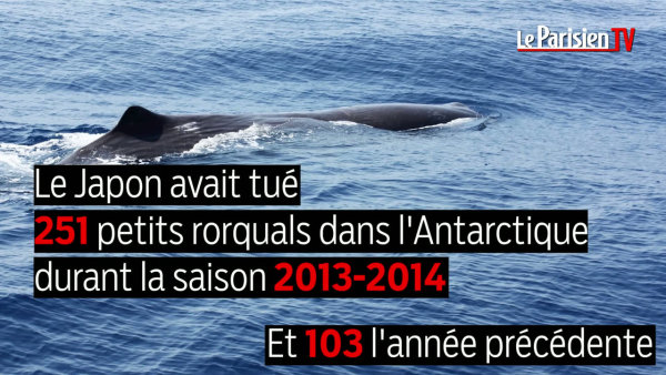 Le repos tjumen avec la pêche